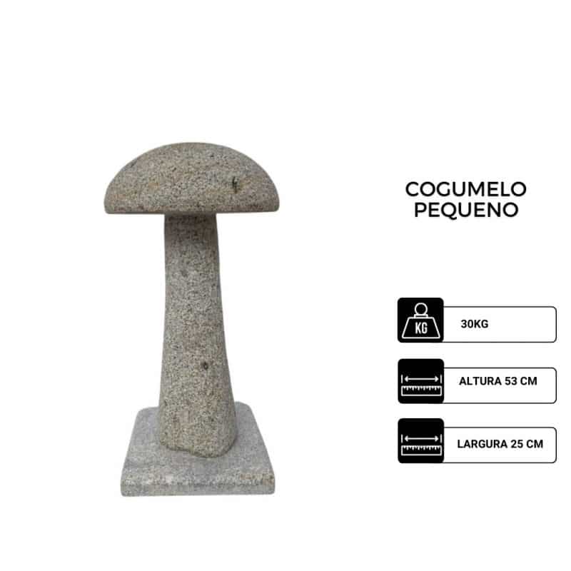 Cogumelo Pequeno