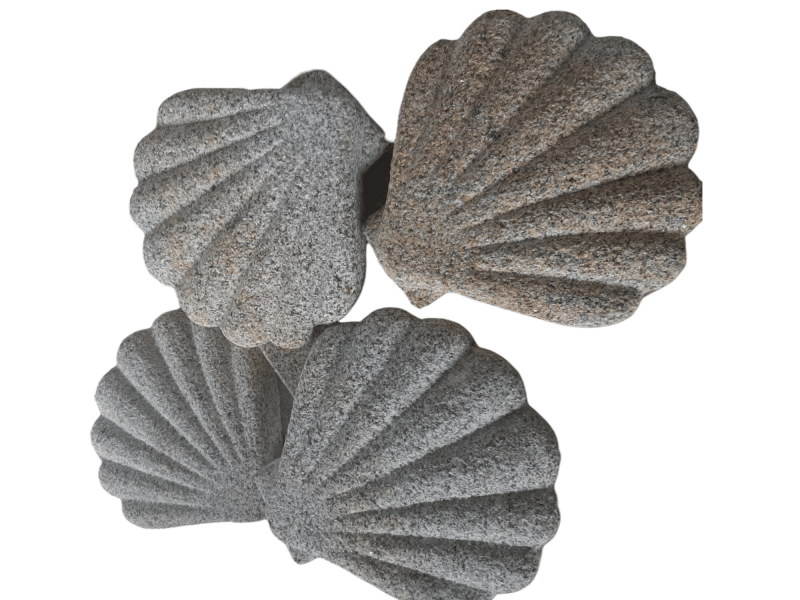 Conchas